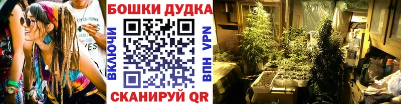 где можно купить   Шлиссельбург  Бошки марихуана конопля 
